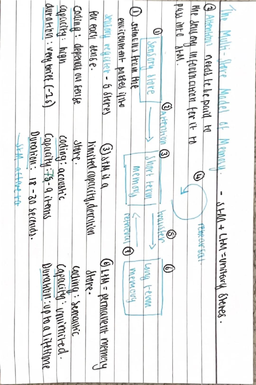 --- OCR Start ---
memory
Cading, Capacity and Duration of Momovy
CODING: the way information is
changed so it can be stored fin inermory.
ed