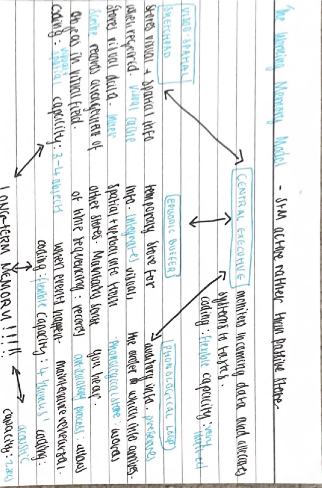 --- OCR Start ---
memory
Cading, Capacity and Duration of Momovy
CODING: the way information is
changed so it can be stored fin inermory.
ed