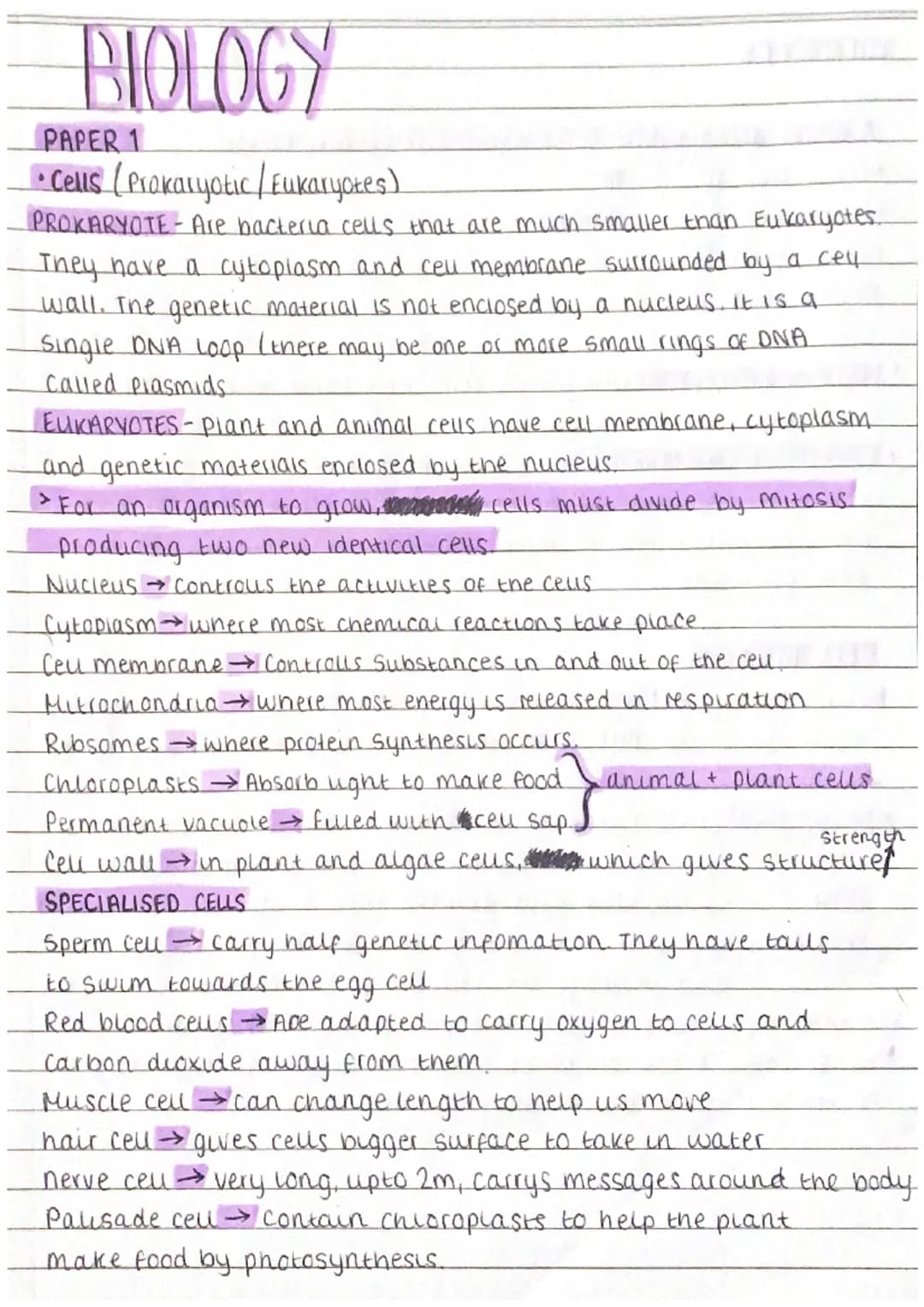 BIOLOGY
PAPER 1
• Cells (Prakaryotic / Eukaryotes)
PROKARYOTE - Are bacteria cells that are much smaller than Eukaryotes.
They have a cytopl
