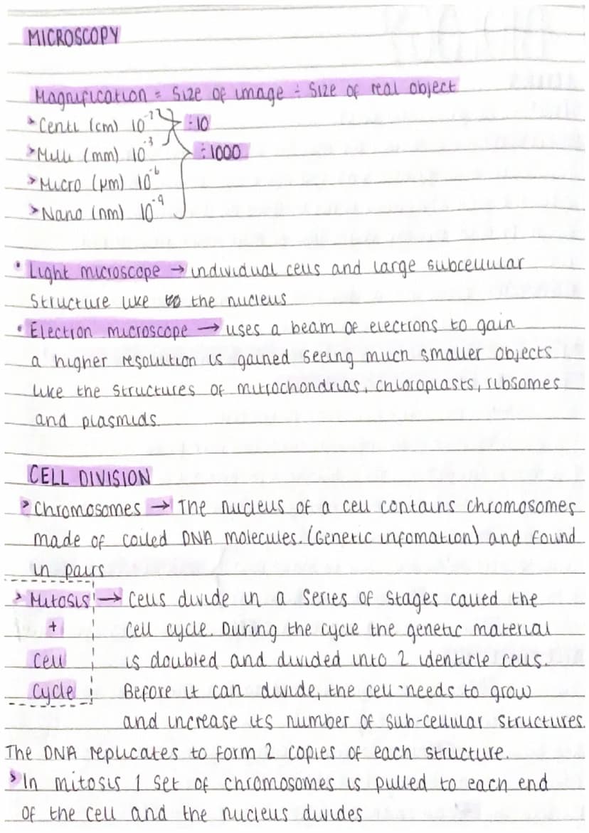 BIOLOGY
PAPER 1
• Cells (Prakaryotic / Eukaryotes)
PROKARYOTE - Are bacteria cells that are much smaller than Eukaryotes.
They have a cytopl