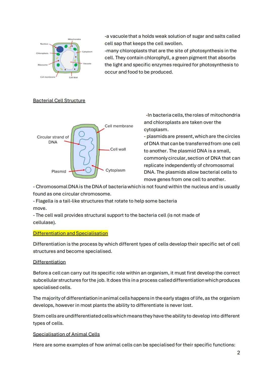 Some of the most common equations you'll need to know for the GCSE biology exam
are:
✔ Magnification (X) - Image size (µm)/ real size (µm)
T
