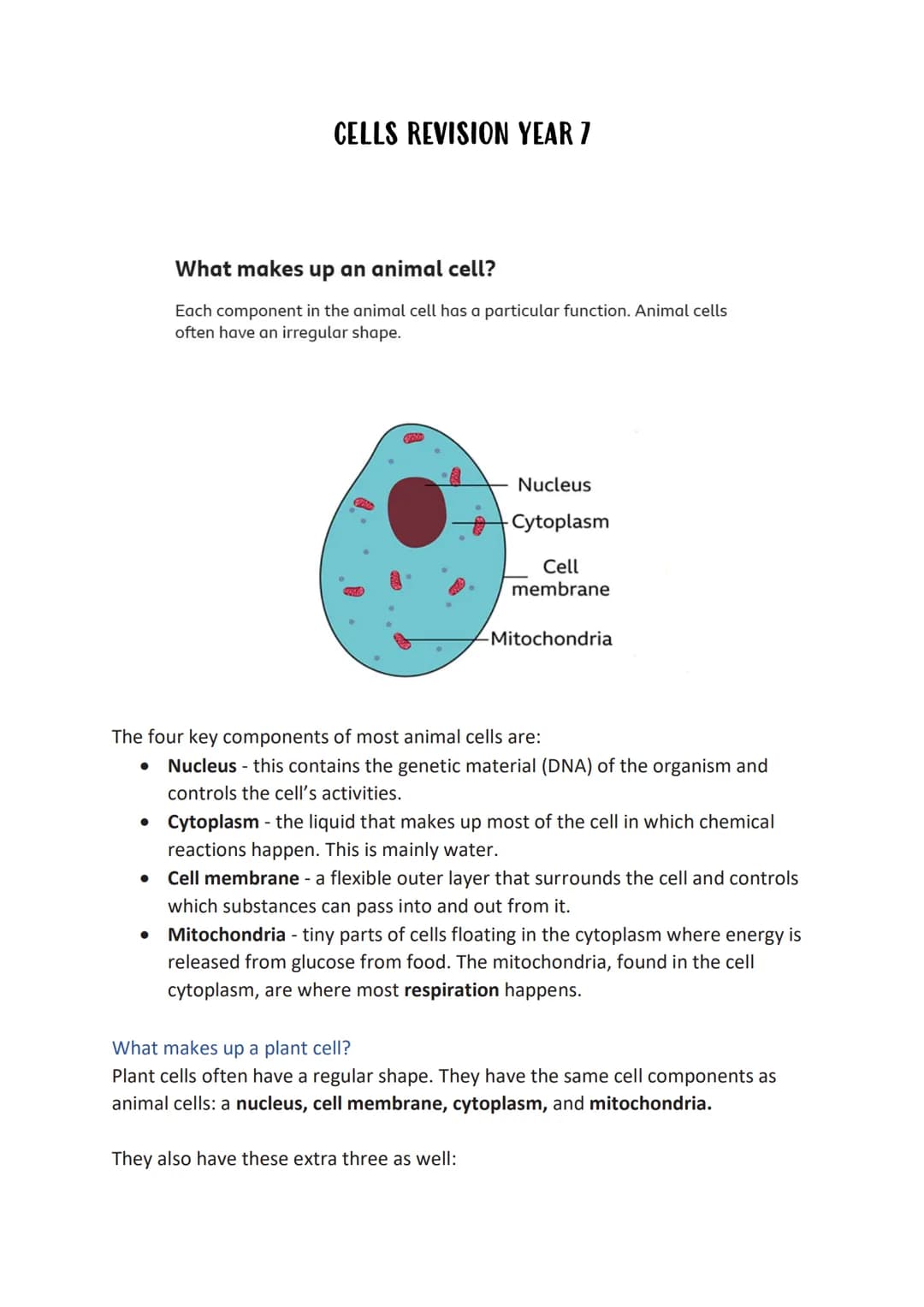 CELLS REVISION YEAR 7
What makes up an animal cell?
Each component in the animal cell has a particular function. Animal cells
often have an 