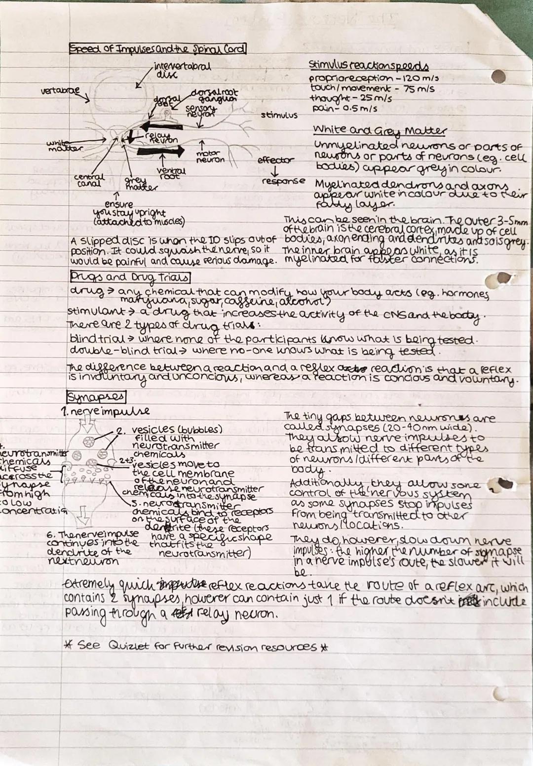 Senses and Nervous Systems!
Senses (via sense organs):
Eyes (sight)
>Nose (smell)
stimulus
Pizza
hot plate
ball
approaching
(taste)
Ears Che
