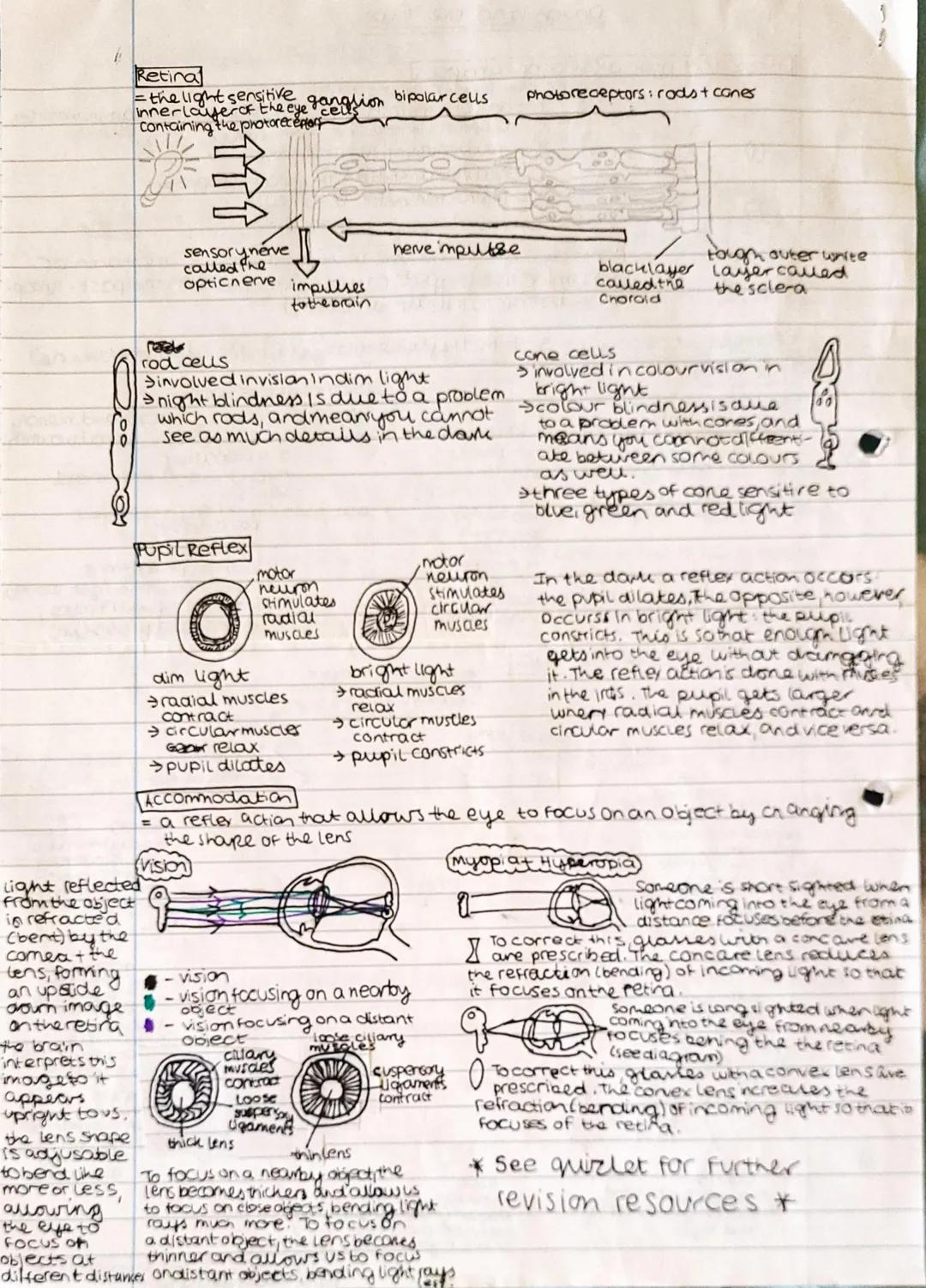 Senses and Nervous Systems!
Senses (via sense organs):
Eyes (sight)
>Nose (smell)
stimulus
Pizza
hot plate
ball
approaching
(taste)
Ears Che