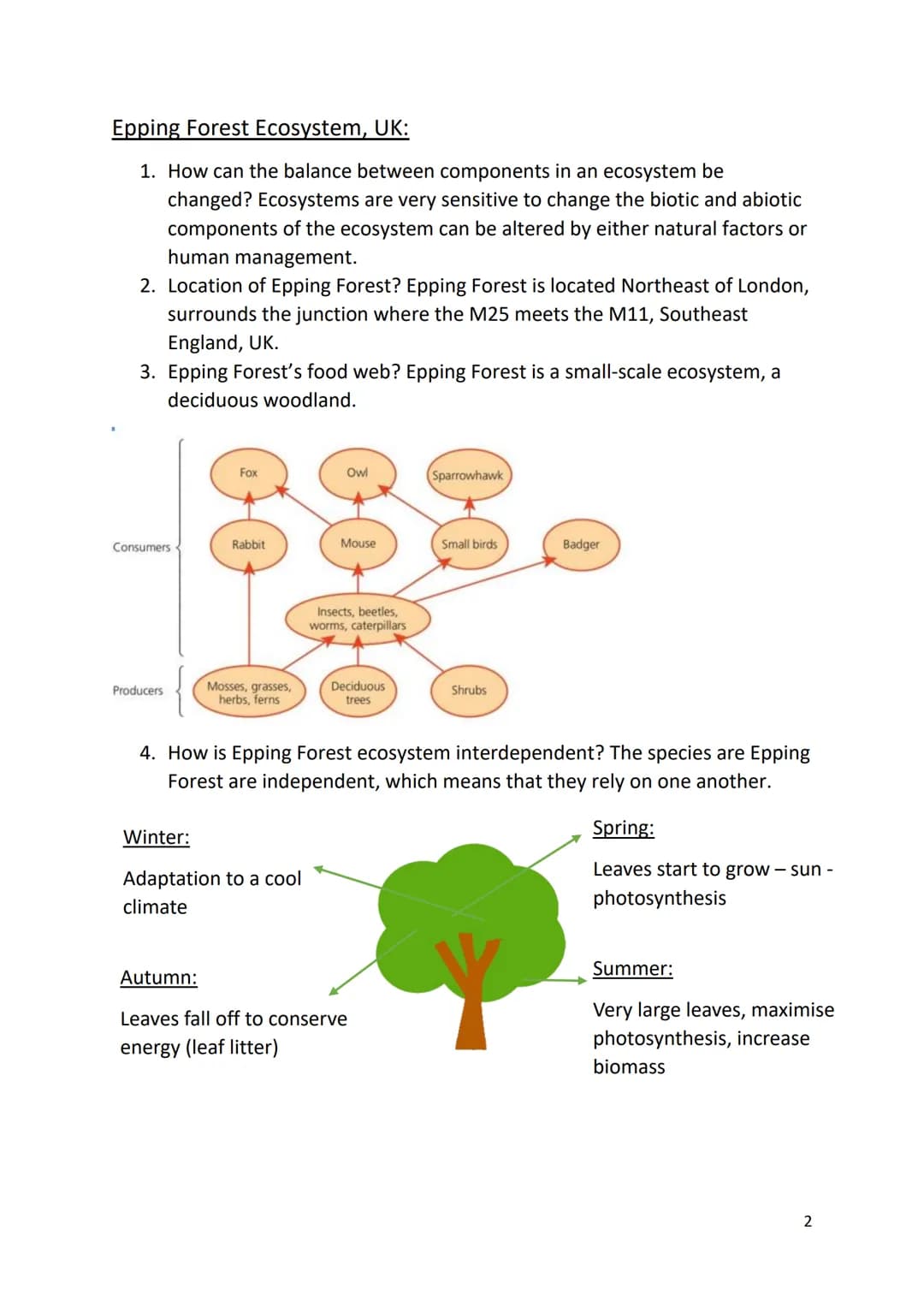 Revision for Living with the physical environment – Ecosystems and
Tropical Rainforest
Ecosystems:
1. What is an ecosystem? An ecosystem is 