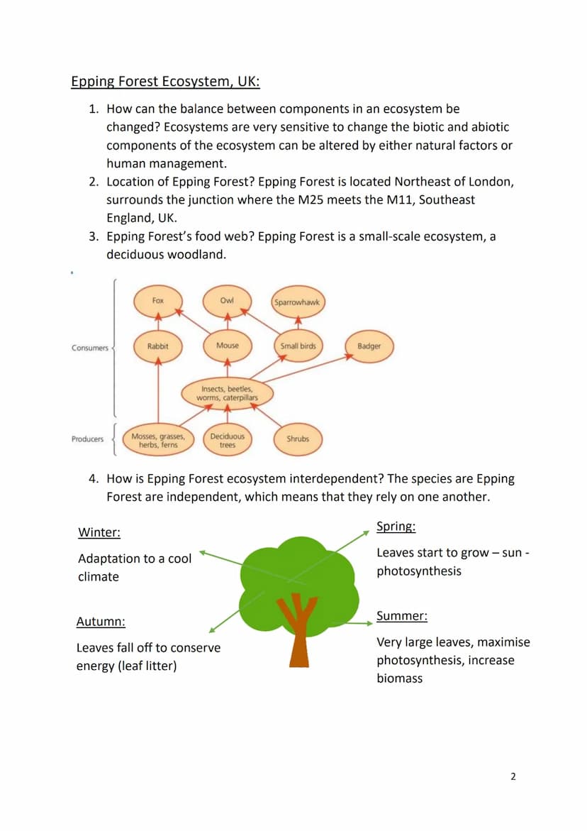 Revision for Living with the physical environment – Ecosystems and
Tropical Rainforest
Ecosystems:
1. What is an ecosystem? An ecosystem is 