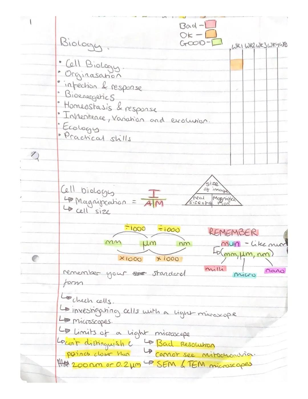 Bad
Ok
GOOD-

WRI WR2 WR3WRYWB

Biology
• Cell Biology.
Orginasation
• infection & response
Bioenergetics
Homeostasis & response.
•Innentenc
