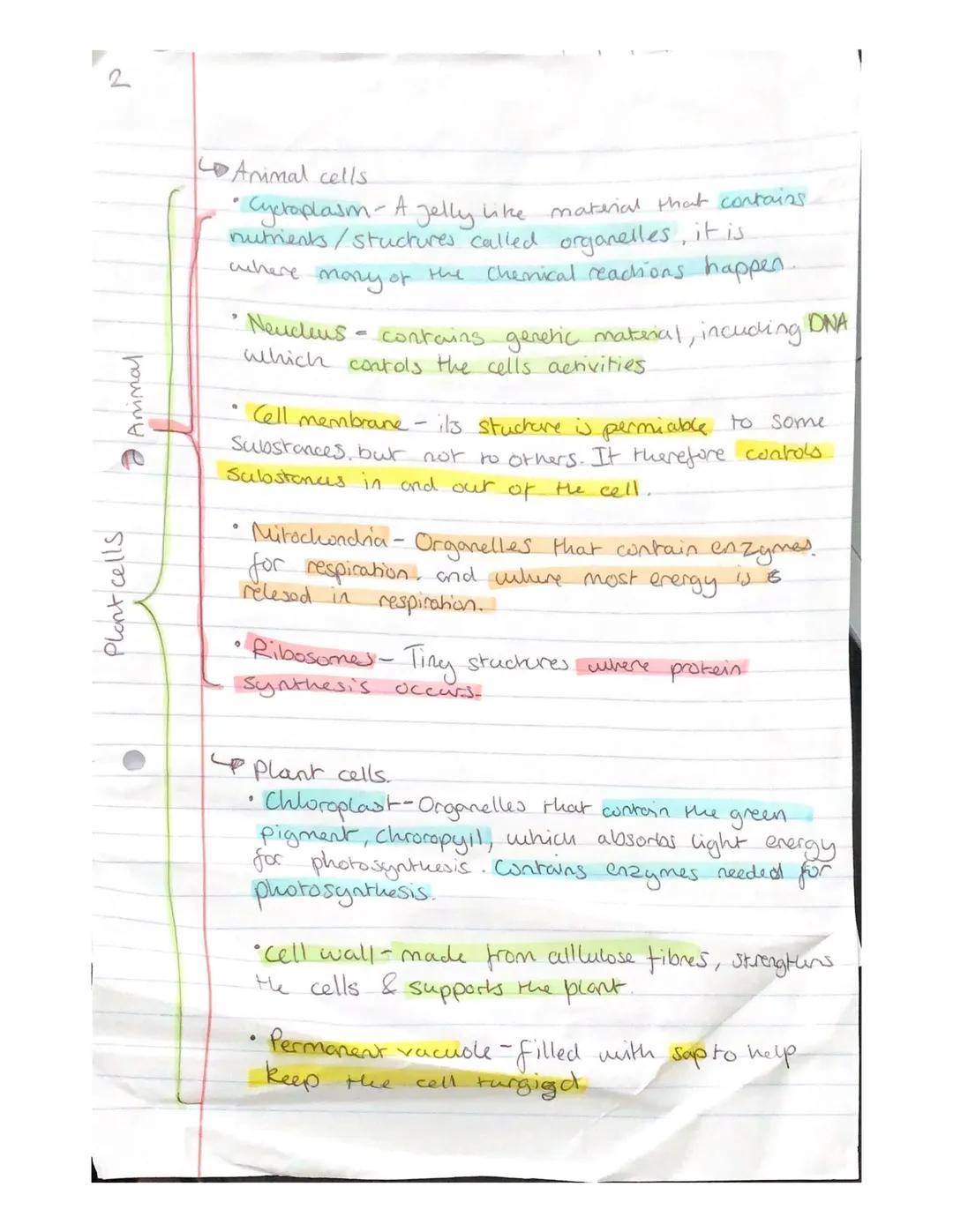 Bad
Ok
GOOD-

WRI WR2 WR3WRYWB

Biology
• Cell Biology.
Orginasation
• infection & response
Bioenergetics
Homeostasis & response.
•Innentenc