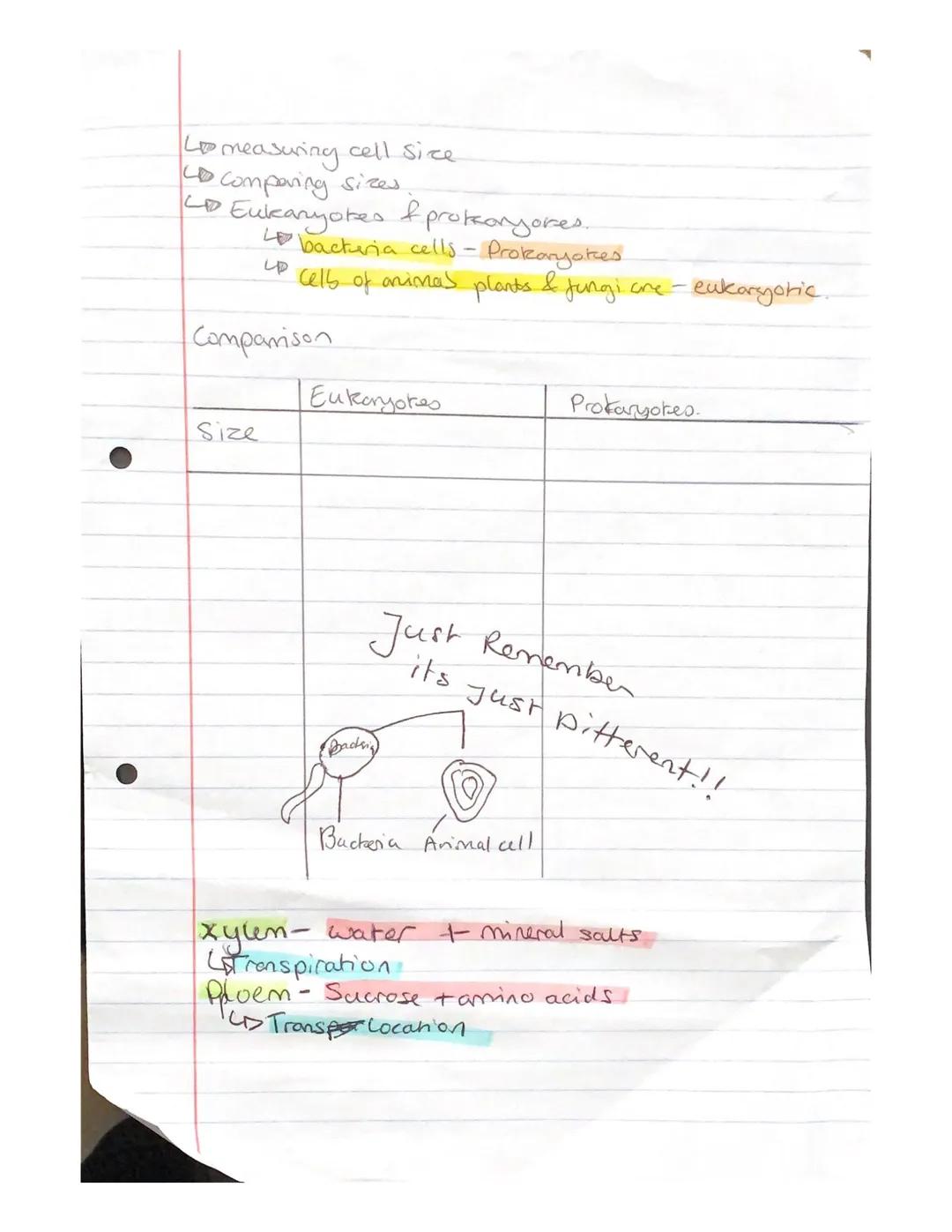 Bad
Ok
GOOD-

WRI WR2 WR3WRYWB

Biology
• Cell Biology.
Orginasation
• infection & response
Bioenergetics
Homeostasis & response.
•Innentenc
