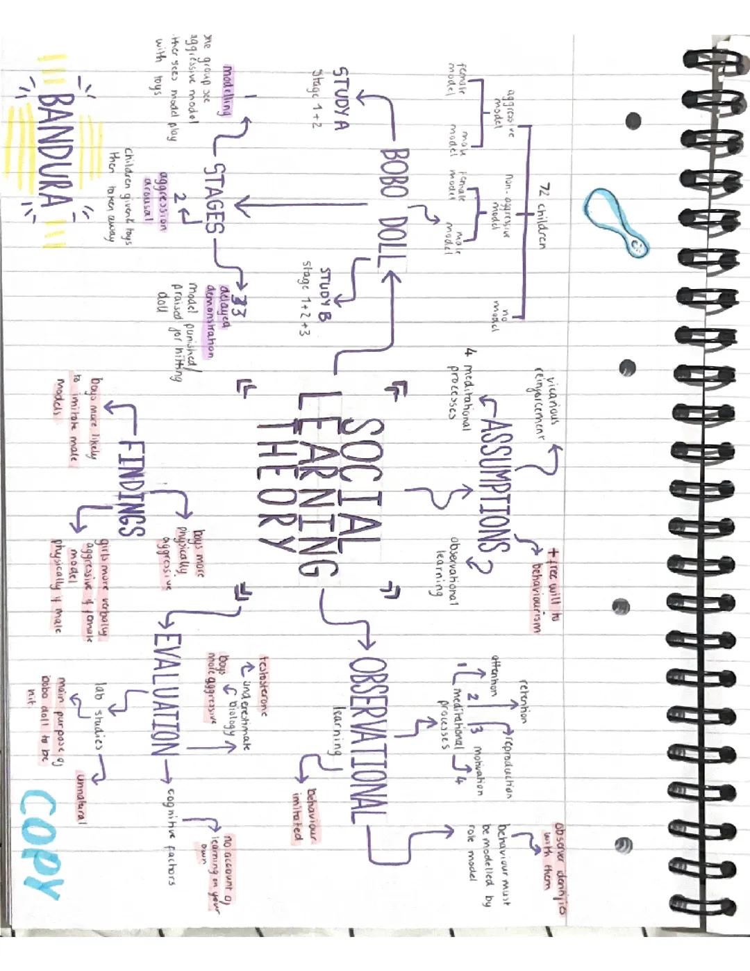 Psychology Social Learning Theory
