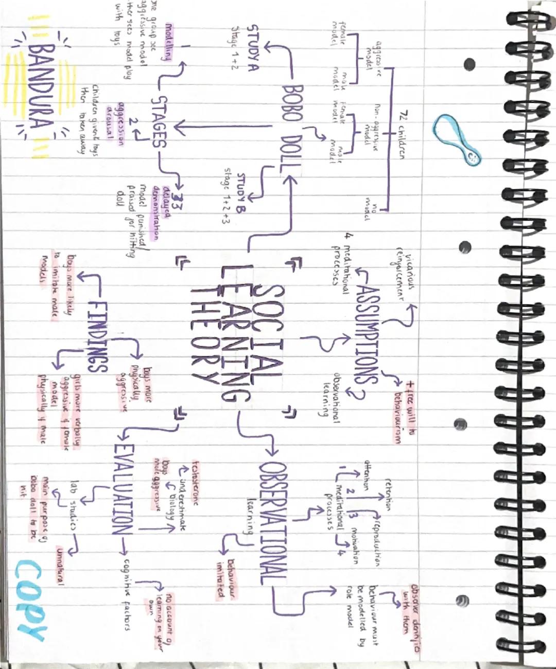 aggressive
model
72 children
non-aggressive
model
female
make
model
model
Female
model
male
model
STUDY A
Stage 1+2
no
model
STUDY B
stage 1
