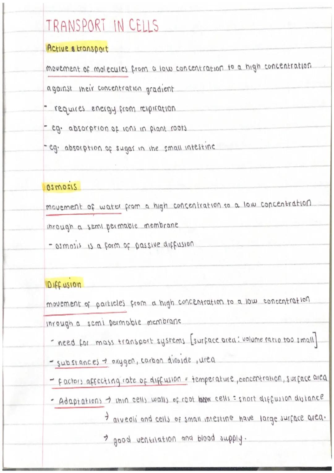 # TRANSPORT IN CELLS

Active transport

movement of molecules from a low concentration to a high concentration.

against ineir concentration