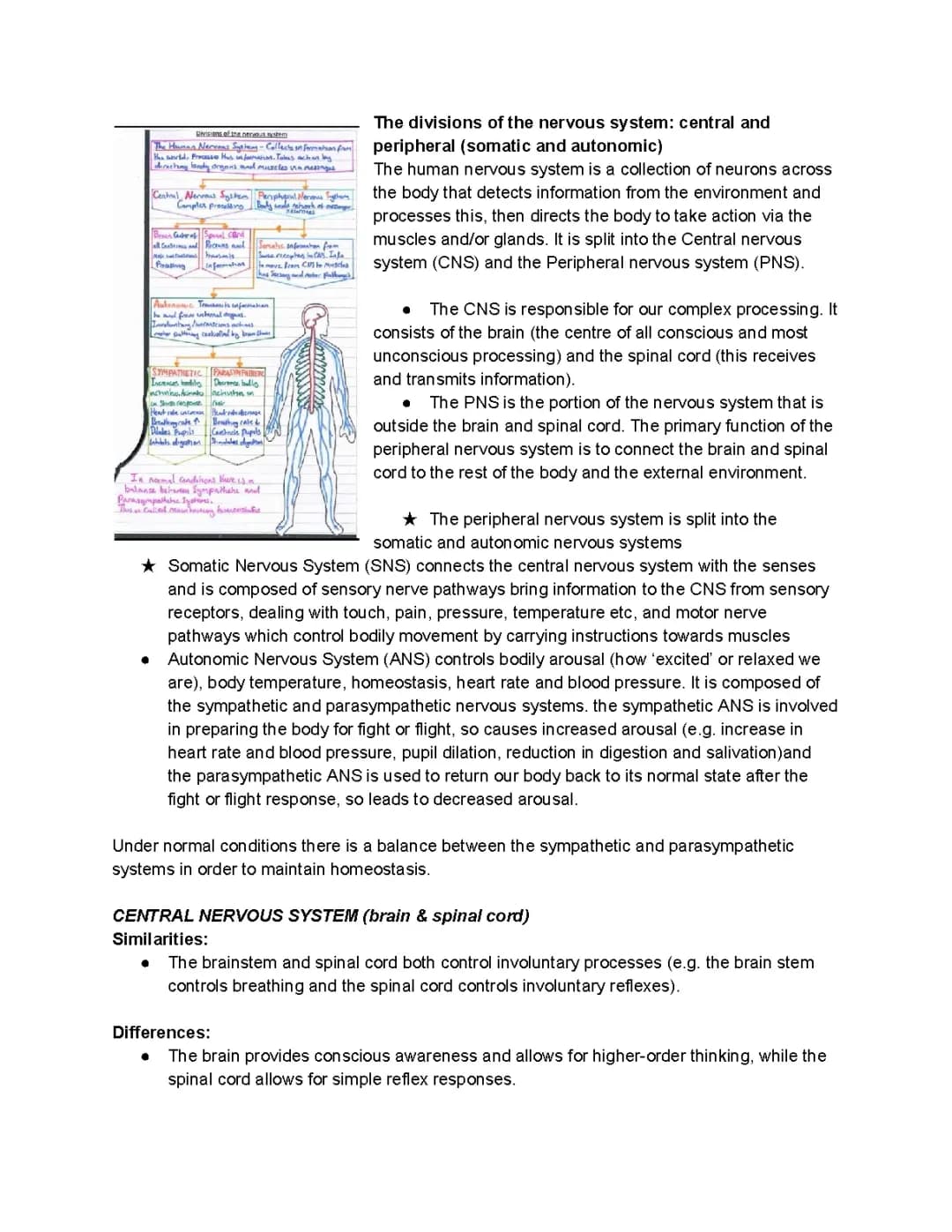 Biopsychology whole topic 