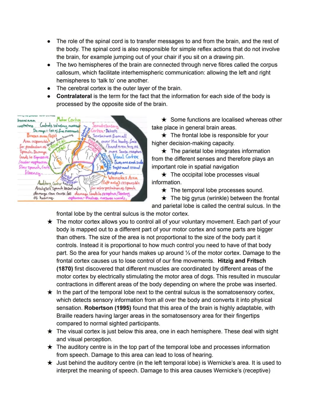 Divisions of the nervous system
The Humna Nervous Systems - Collects information from
the world, Processes this information. Takes action by