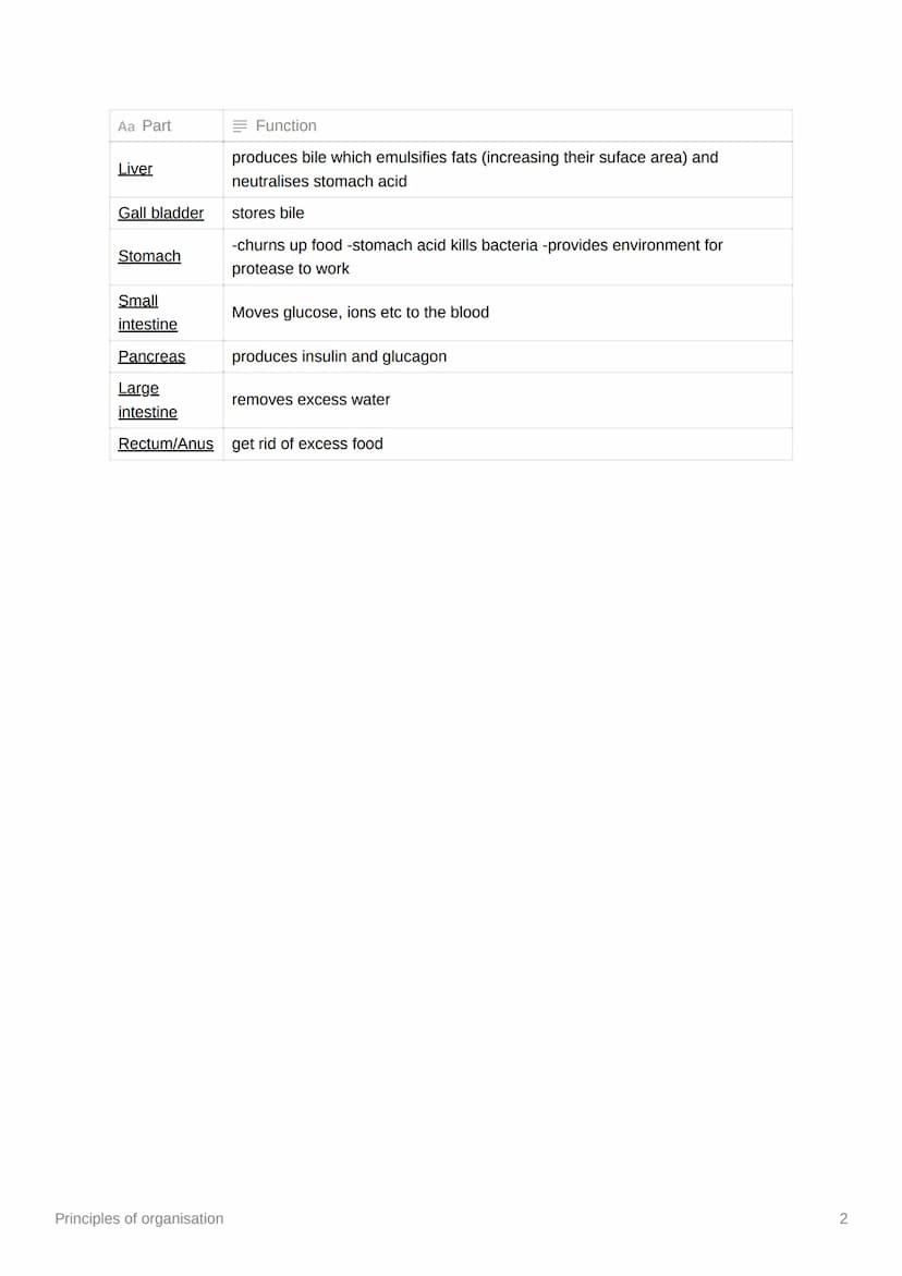 Principles of organisation
Download
Not in current content upload
On Knowunity
Tissue
A group of cells working together perform a shared/sim