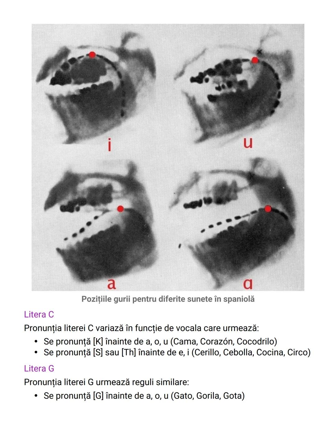 # Regulile de Pronunţie în Limba Spaniolă

Reguli de Bază pentru Consoane
În limba spaniolă, anumite consoane au pronunții specifice care di
