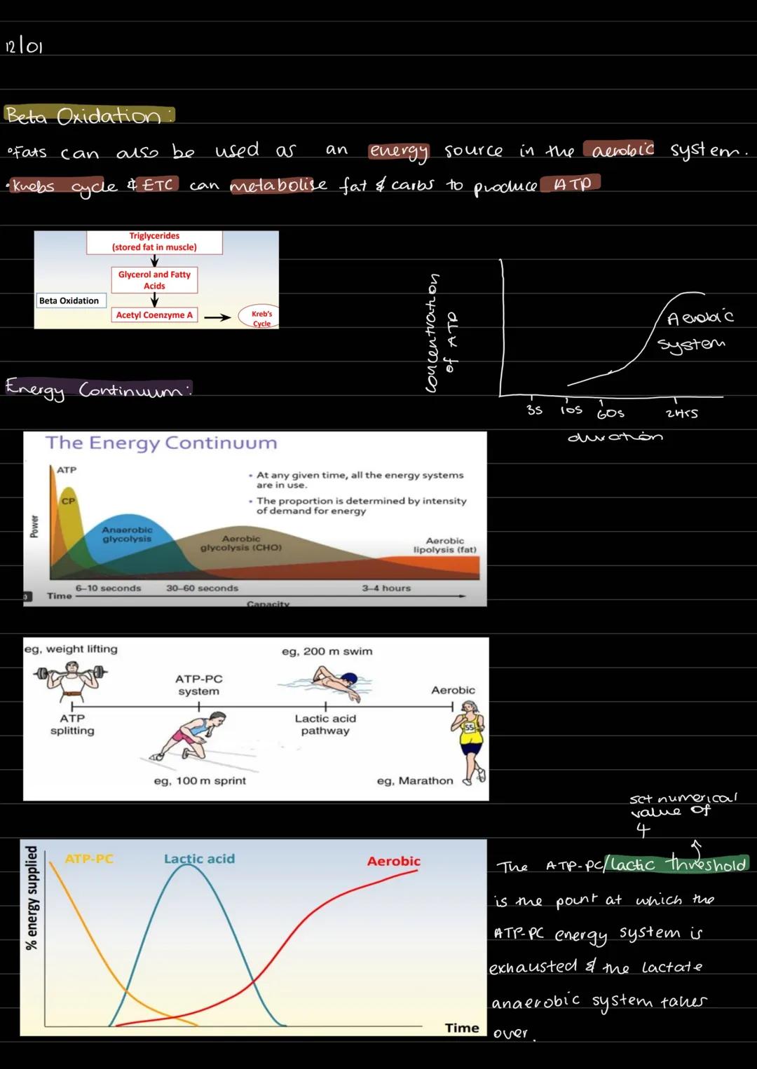 03/01/23

Energy Transfers in the Body:
• A constant supply of energy is needed to be alde to perform everyday tasks.
•The intensity & durat