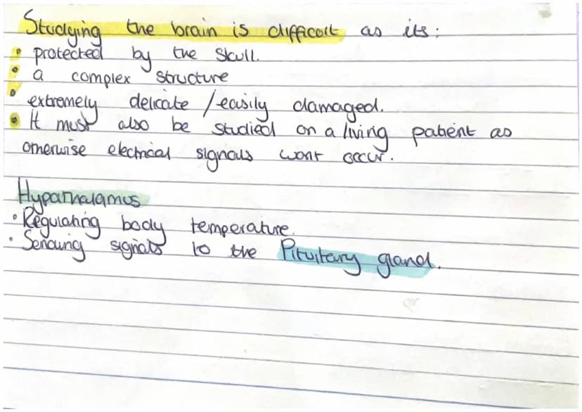 Front
Gereted Cerebral Correx..
ourer
This is the
wrinkley bit Responsibile
for Memory, language,
intelligence & conciousness!
Hypothalamus
