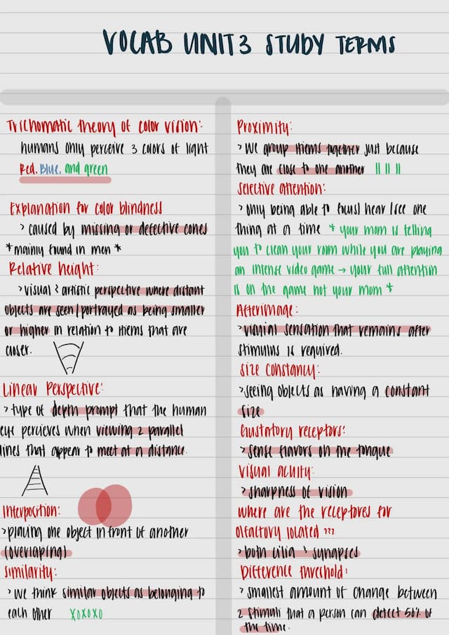 Know Unit 3 vocabulary and diagram study sheet  thumbnail