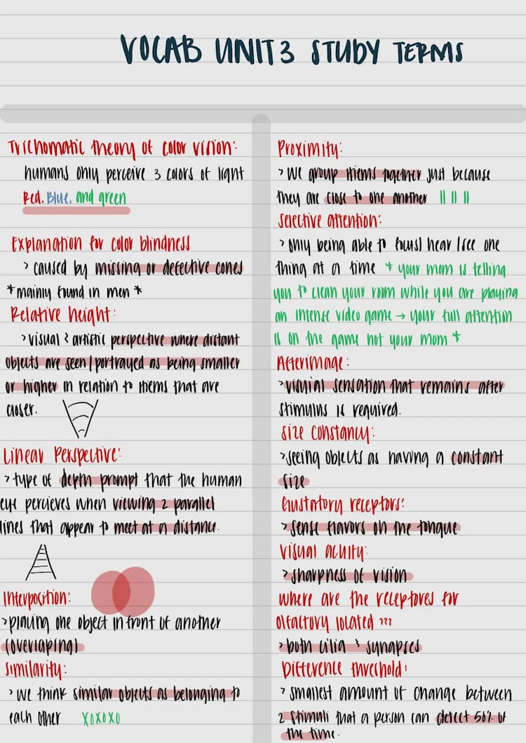 Know Unit 3 vocabulary and diagram study sheet  thumbnail