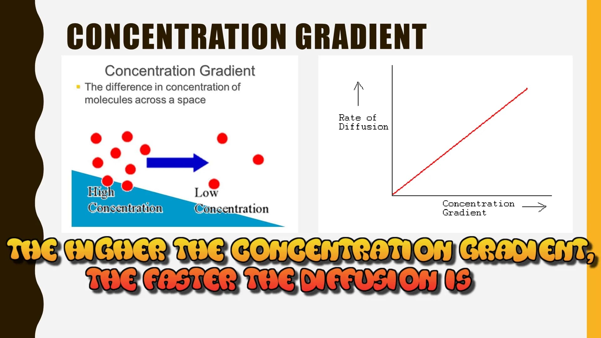 GAS EXCHANGE
SUMMARY DIFFUSION
Diffusion
Particle net movement from;
a region of HIGH concentration to a region of LOW concentration
High Co