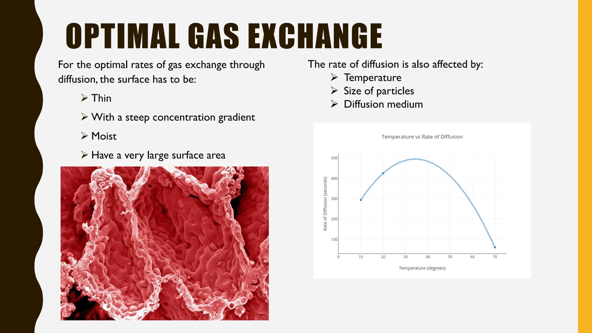 GAS EXCHANGE
SUMMARY DIFFUSION
Diffusion
Particle net movement from;
a region of HIGH concentration to a region of LOW concentration
High Co