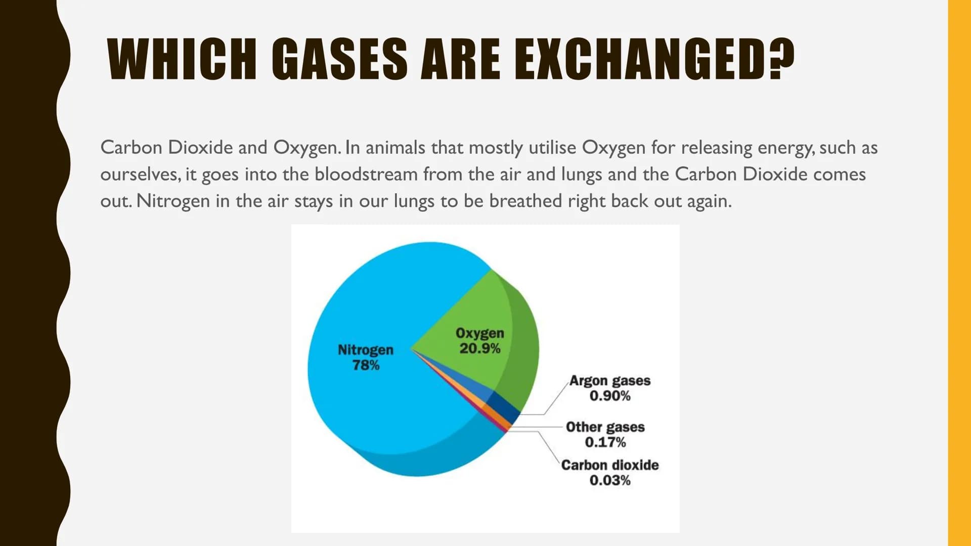 GAS EXCHANGE
SUMMARY DIFFUSION
Diffusion
Particle net movement from;
a region of HIGH concentration to a region of LOW concentration
High Co