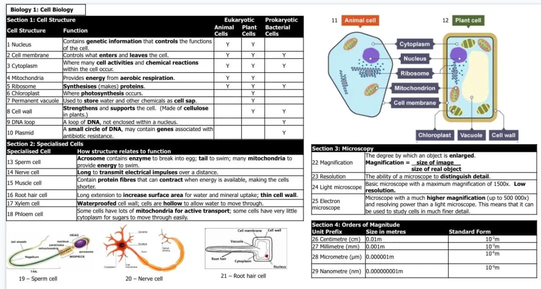 Biology: Topic 1 - Cell Biology