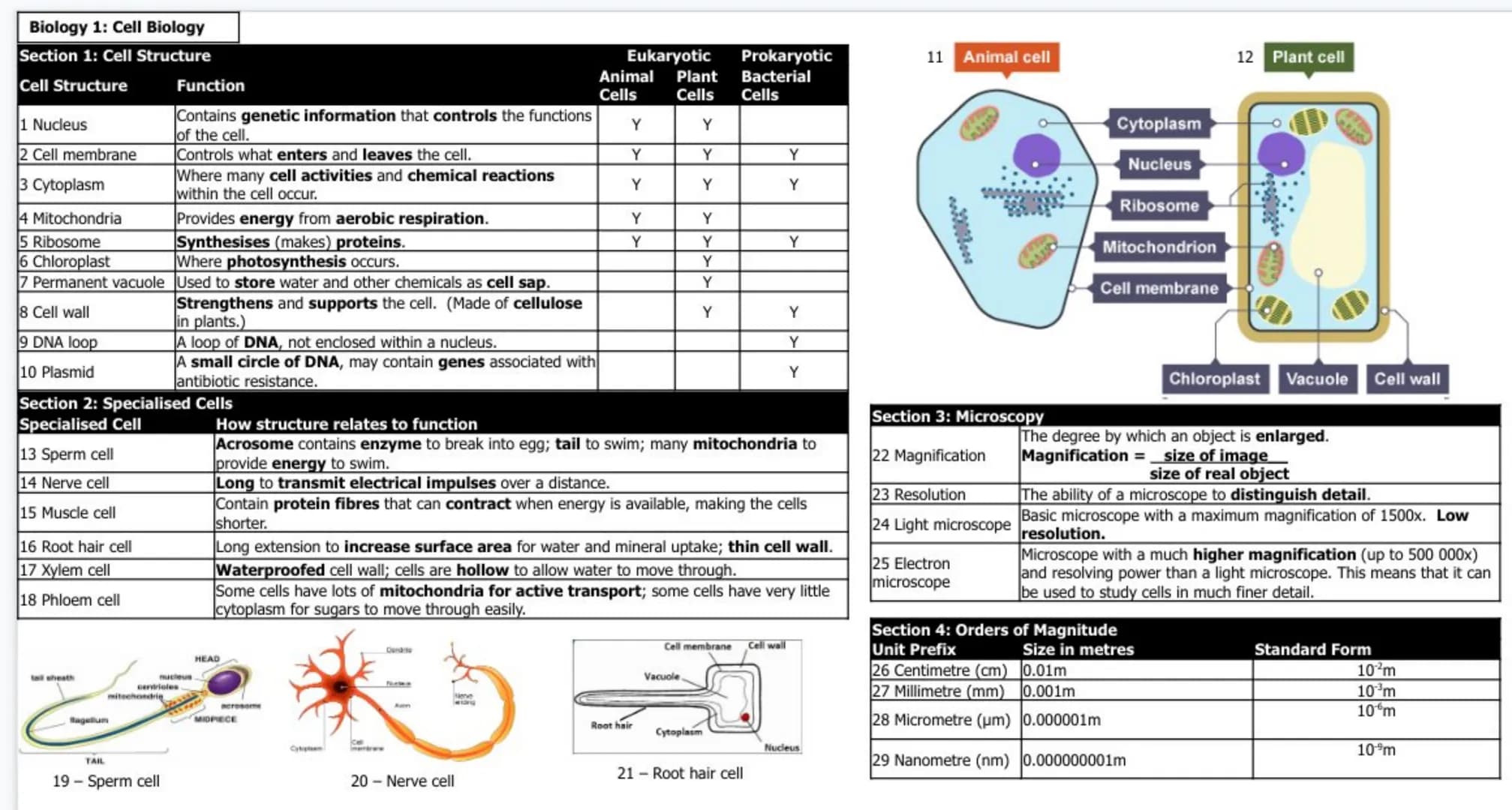 Biology 1: Cell Biology
Section 1: Cell Structure
Cell Structure
1 Nucleus
2 Cell membrane
3 Cytoplasm
4 Mitochondria
5 Ribosome
6 Chloropla