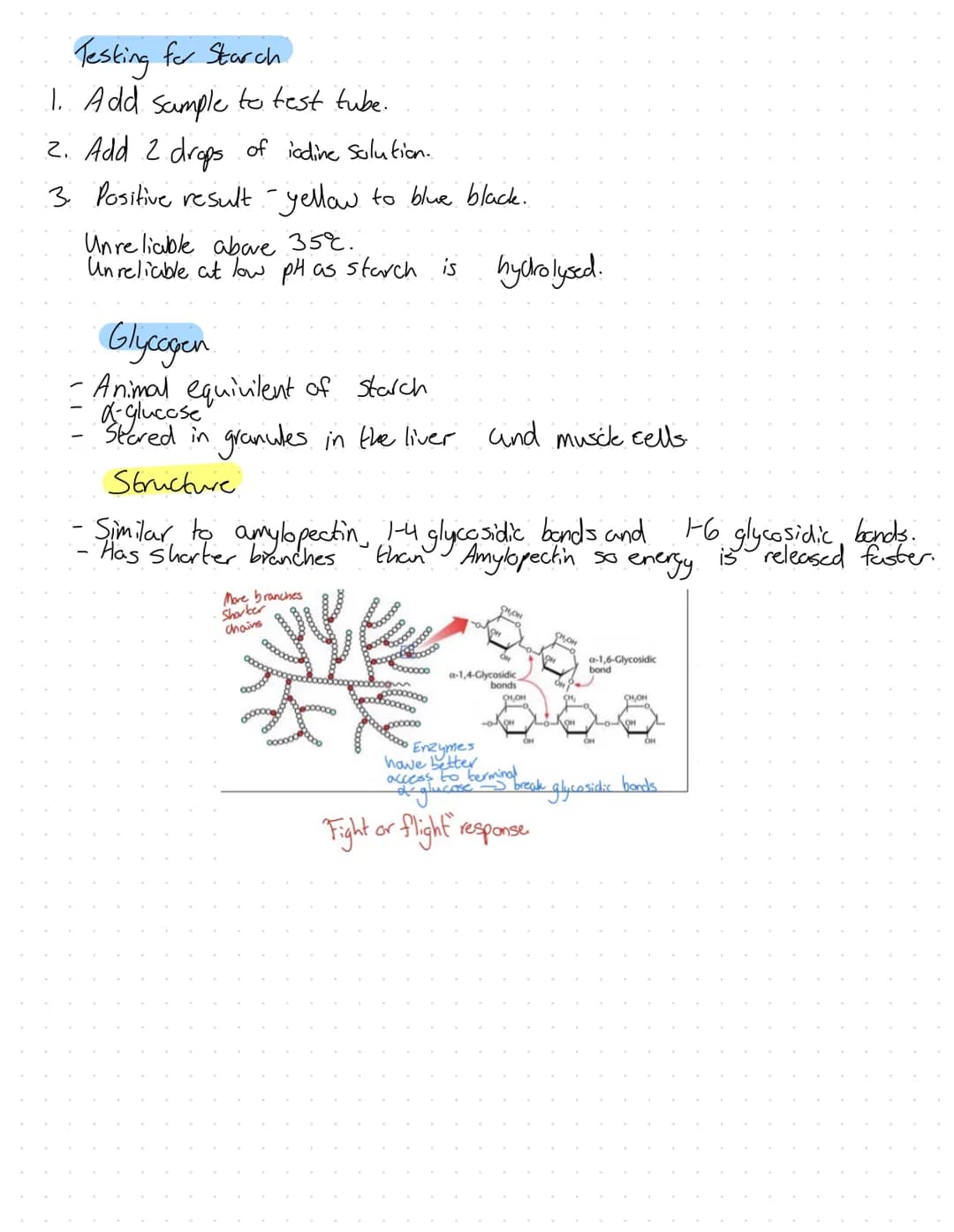 Revision
Fons
2+
Mg²+
Plants
A component in chlorophyll, deficiency turns plant yellow. Chlorosis.
Plant grow the slows due
Animals
·Strengt