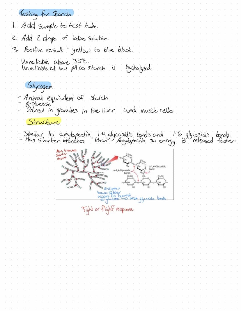 Revision
Fons
2+
Mg²+
Plants
A component in chlorophyll, deficiency turns plant yellow. Chlorosis.
Plant grow the slows due
Animals
·Strengt