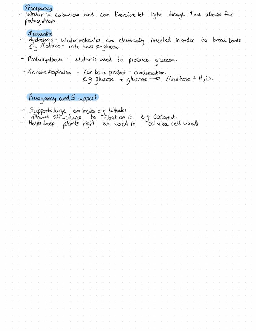 Revision
Fons
2+
Mg²+
Plants
A component in chlorophyll, deficiency turns plant yellow. Chlorosis.
Plant grow the slows due
Animals
·Strengt