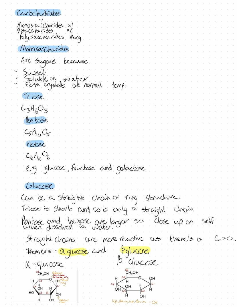 Revision
Fons
2+
Mg²+
Plants
A component in chlorophyll, deficiency turns plant yellow. Chlorosis.
Plant grow the slows due
Animals
·Strengt