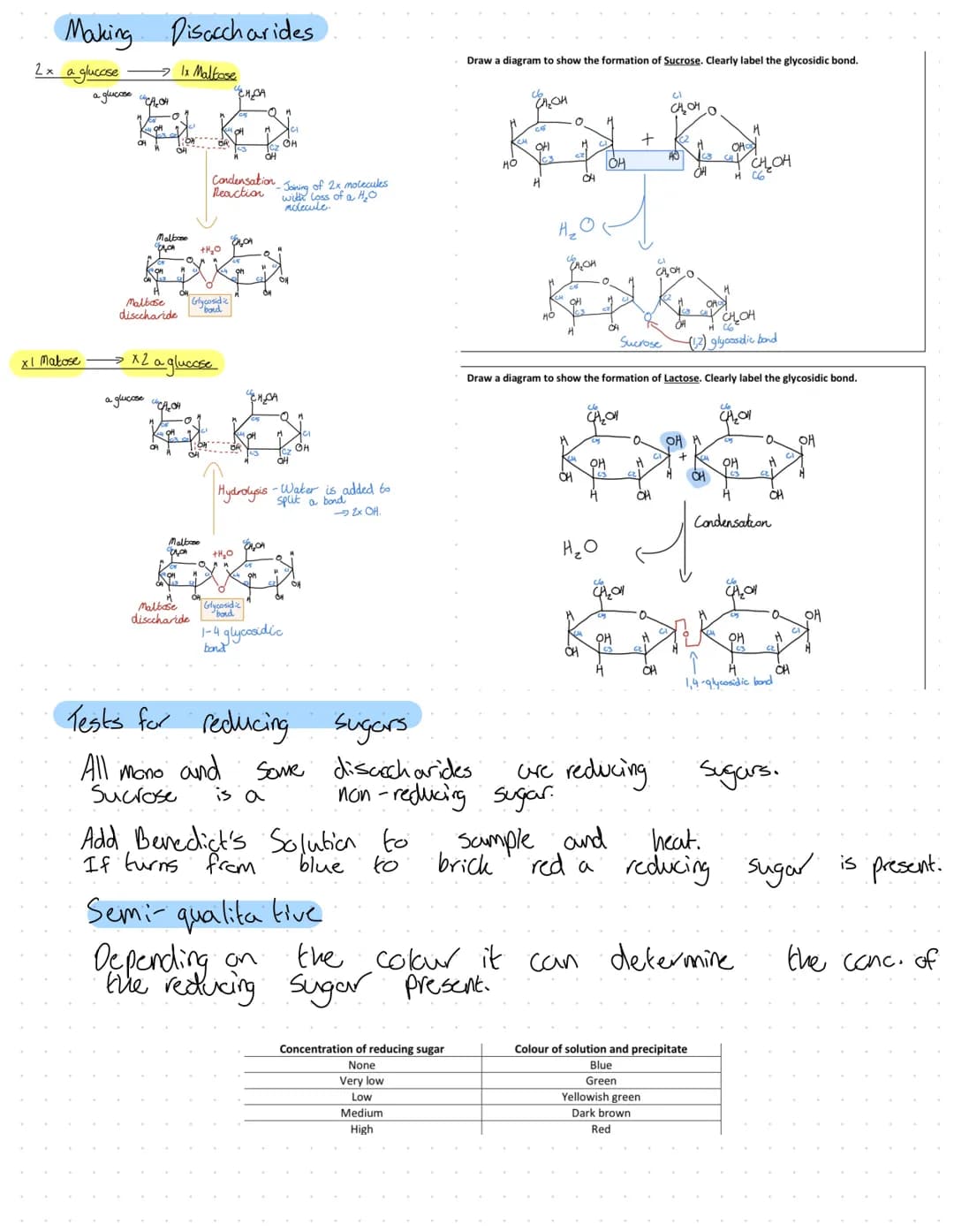Revision
Fons
2+
Mg²+
Plants
A component in chlorophyll, deficiency turns plant yellow. Chlorosis.
Plant grow the slows due
Animals
·Strengt