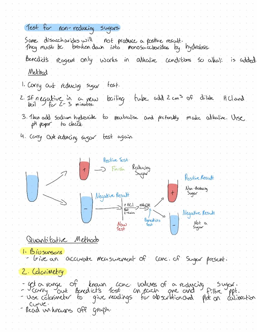 Revision
Fons
2+
Mg²+
Plants
A component in chlorophyll, deficiency turns plant yellow. Chlorosis.
Plant grow the slows due
Animals
·Strengt