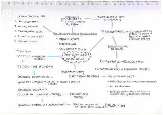 Know photosynthesis and respiration  thumbnail