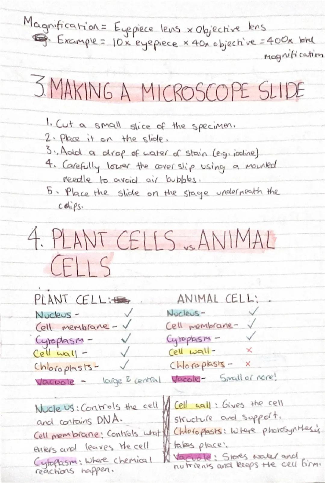 # BIOLOGY

THIS WILL COVER TWO TOPICS:
1. PARTS OF A MICROSCOPE & THEIR FUNCTIONS.
2. PLANT AND ANIMAL  & SPECIALISED CELLS &
THEIR FUNCTION