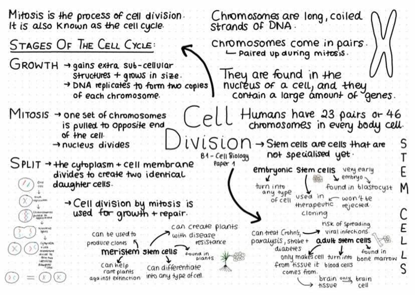 nucleus
- contains
genetic material/
(DNA)
- Controls
cell's activities
nibosomes
-protein
Animal/Eukaryotic cell
0
0.0
synthesis cytoplasm
