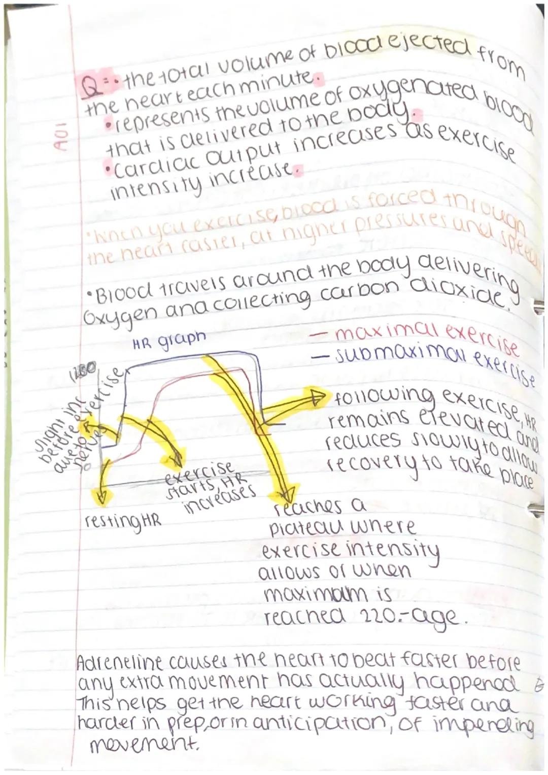 2
*   The cardiac cycle is the sequence of events that
    occur.
*   Diastole (filling the neart!
*   Sys101e (ejection)

104
*   Controlle