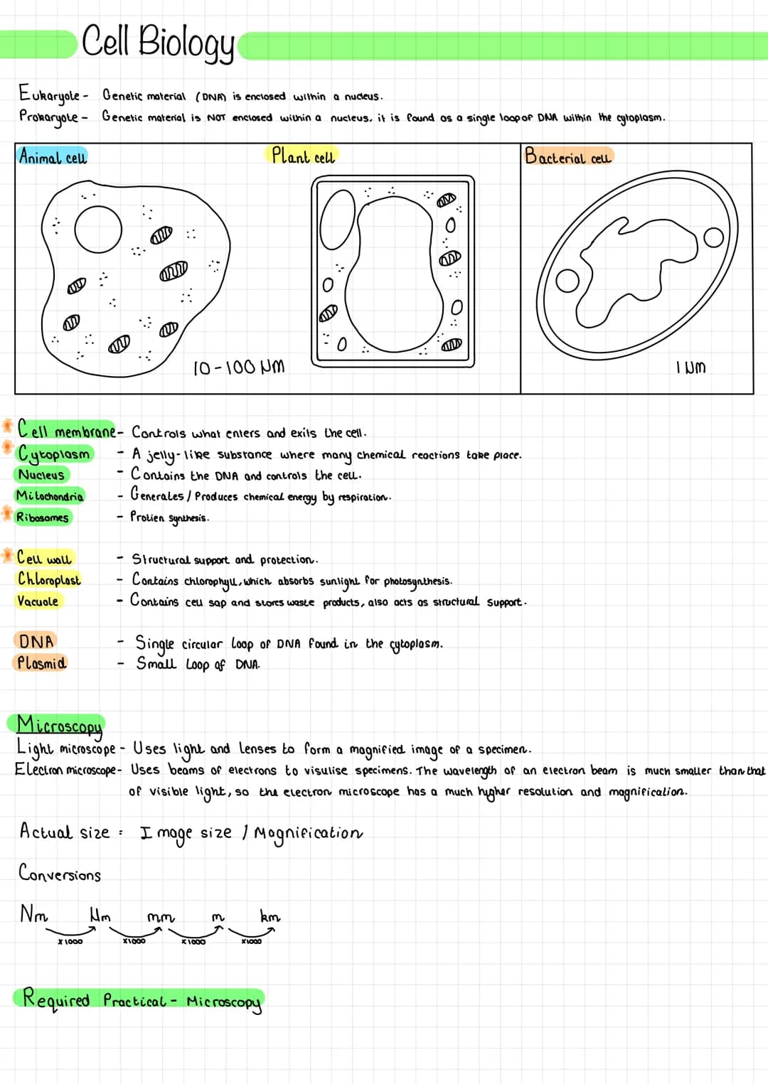 Cell Biology
Eukaryote - Genetic material (DNA) is enclosed within a nucleus.
Prokaryote- Genetic material is NOT enclosed within a nucleus,