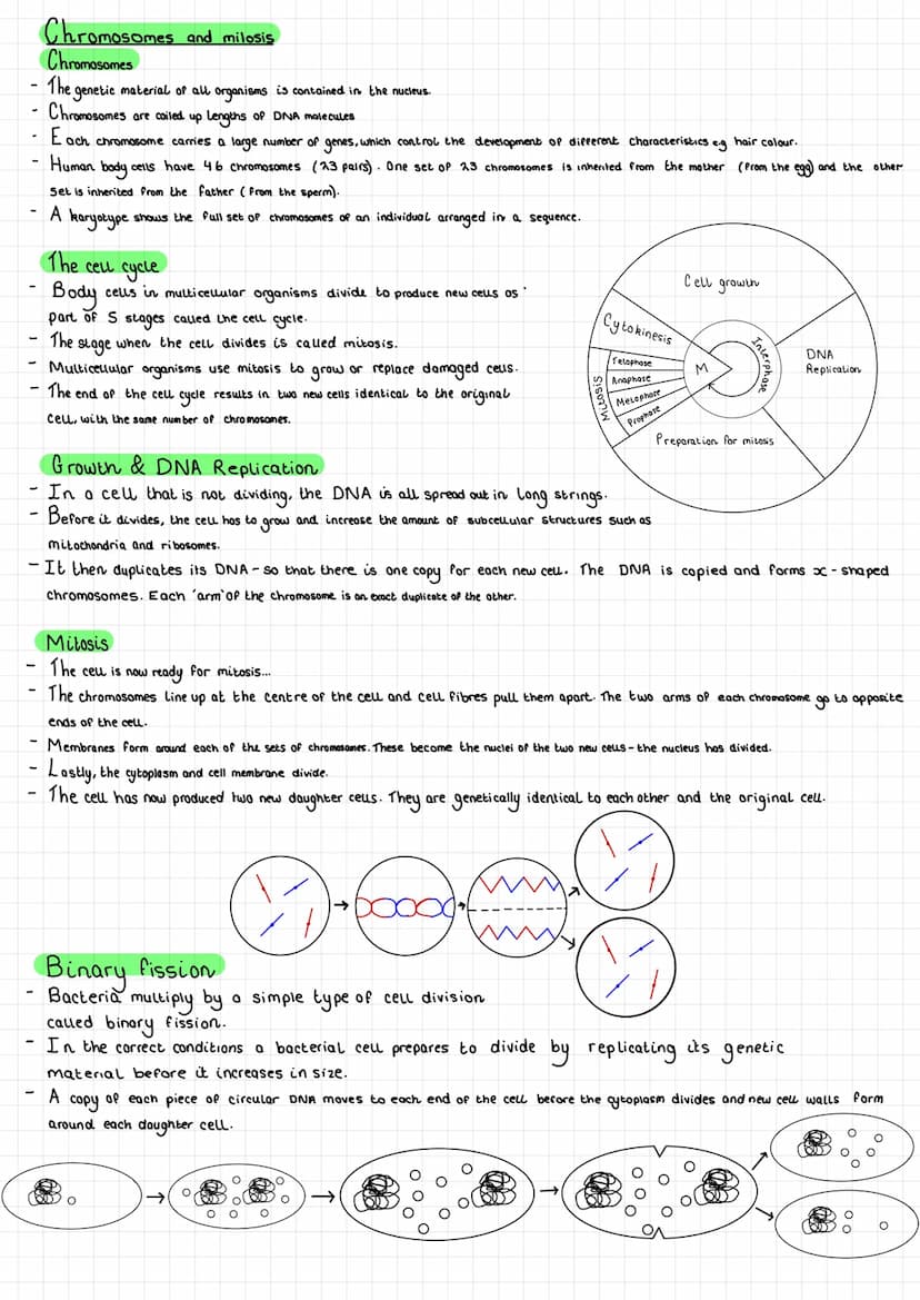Cell Biology
Eukaryote - Genetic material (DNA) is enclosed within a nucleus.
Prokaryote- Genetic material is NOT enclosed within a nucleus,