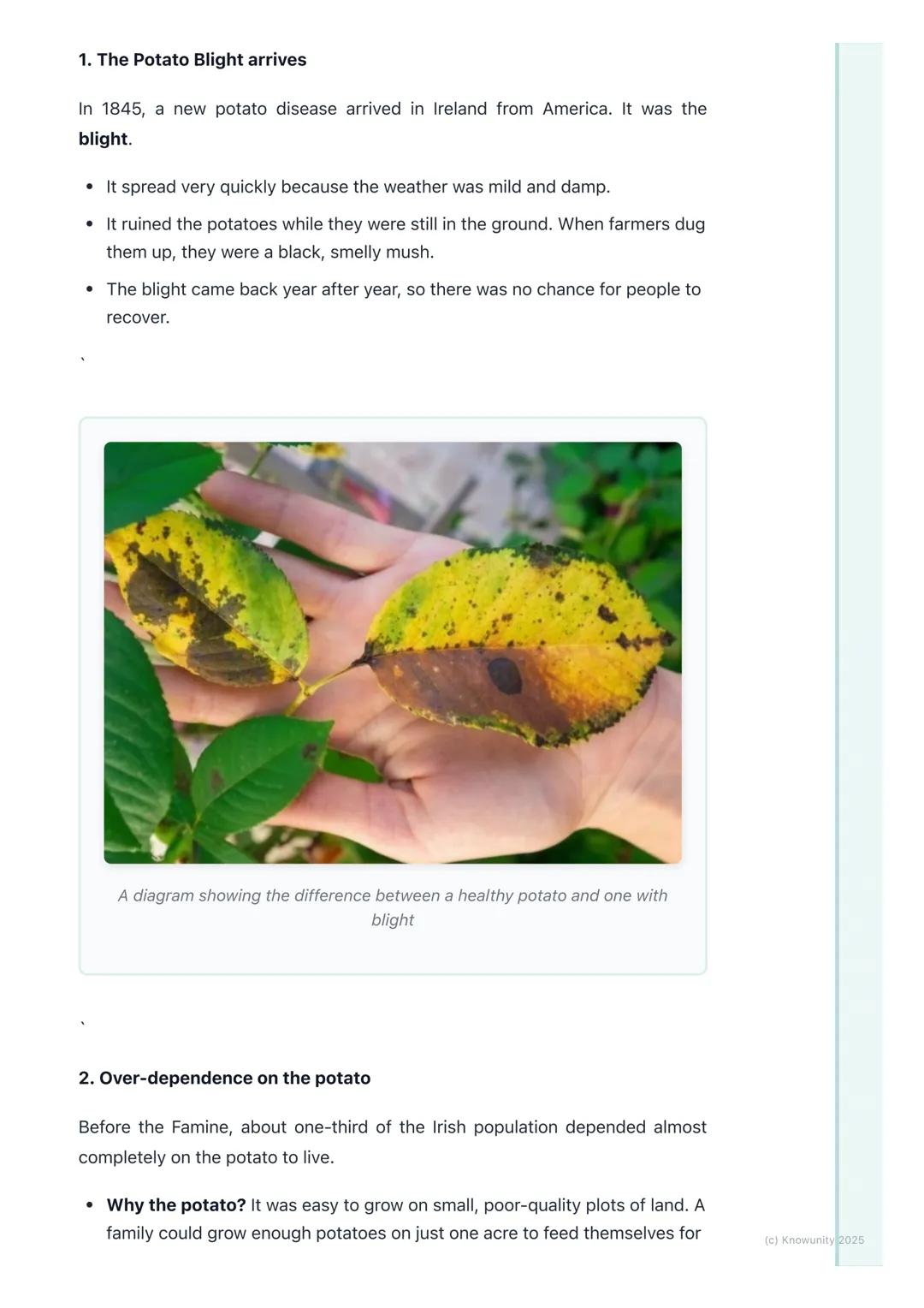 # Causes of the Famine

An introduction to the causes

The Great Famine, or An Gorta Mór, happened in Ireland between 1845 and
1852. It wasn