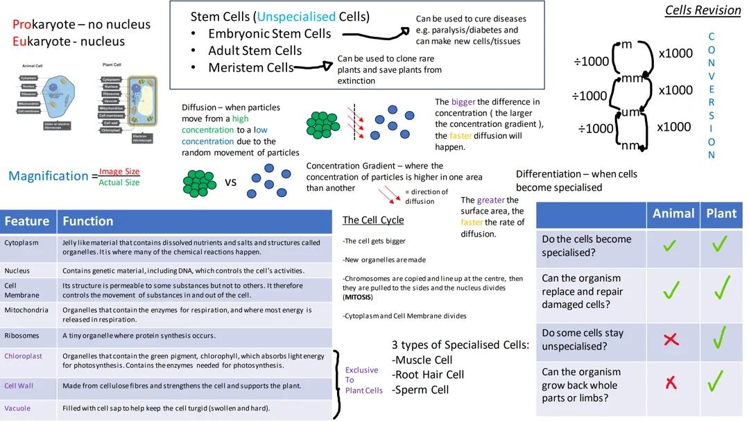 Cells Revision GCSE