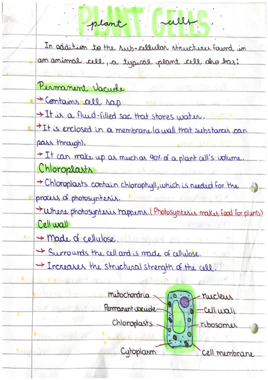 anima
Sub-cellular structures are things found in a cell. An
animal cell contains the following sub-cellular structures:
Cell membrane
Call
