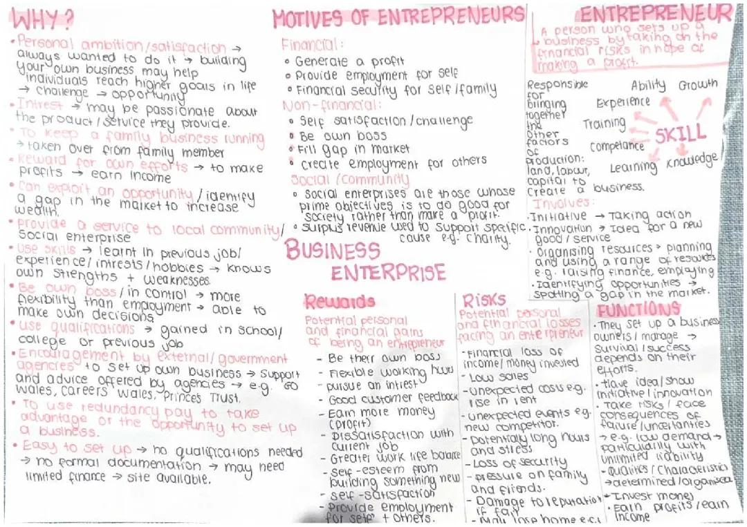 Business Enterprise (Entrepreneurs)
