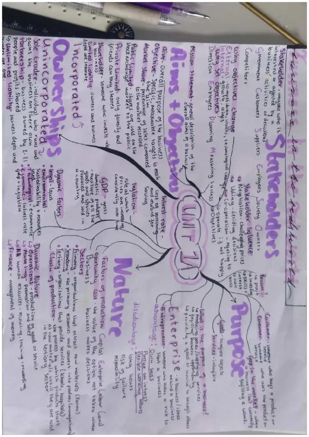 business in the real world 