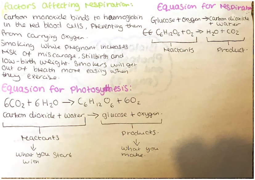leaves and
Stomata:
leaves are green: A green substance
called chlorophyll is in
leaf cells to
absorb
Sunlight
for
Photosynth
leaves are to 