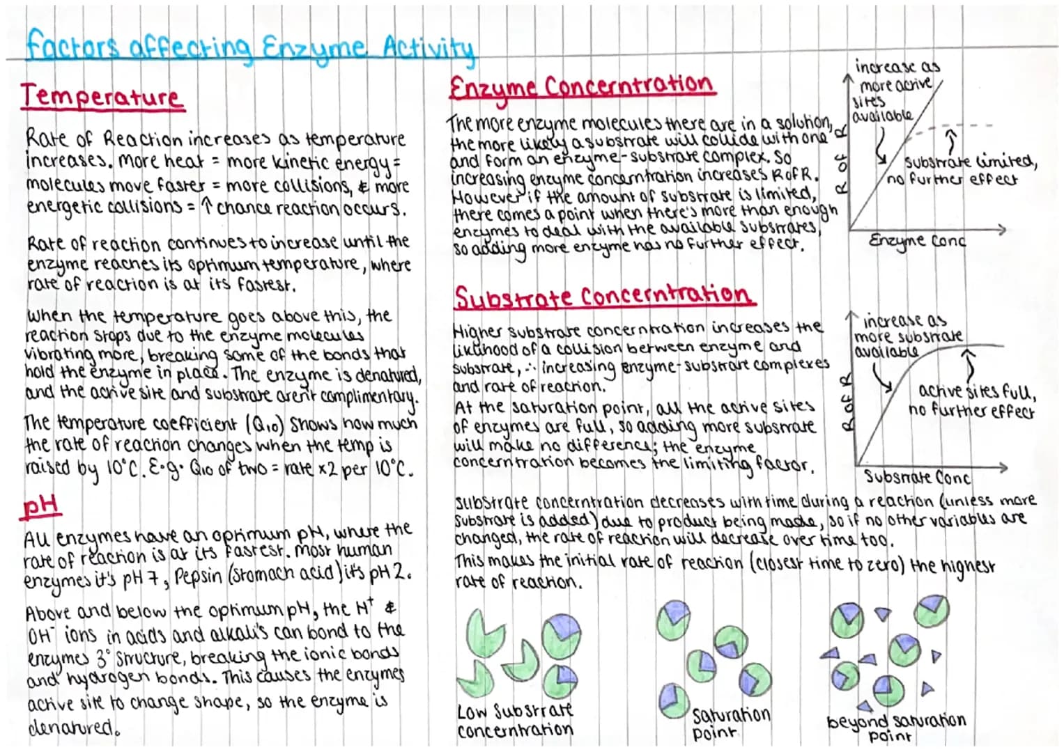 
<h2 id="enzymesasbiologicalcatalysts">Enzymes as Biological Catalysts</h2>
<p>Enzymes act as biological catalysts, speeding up the rate of 