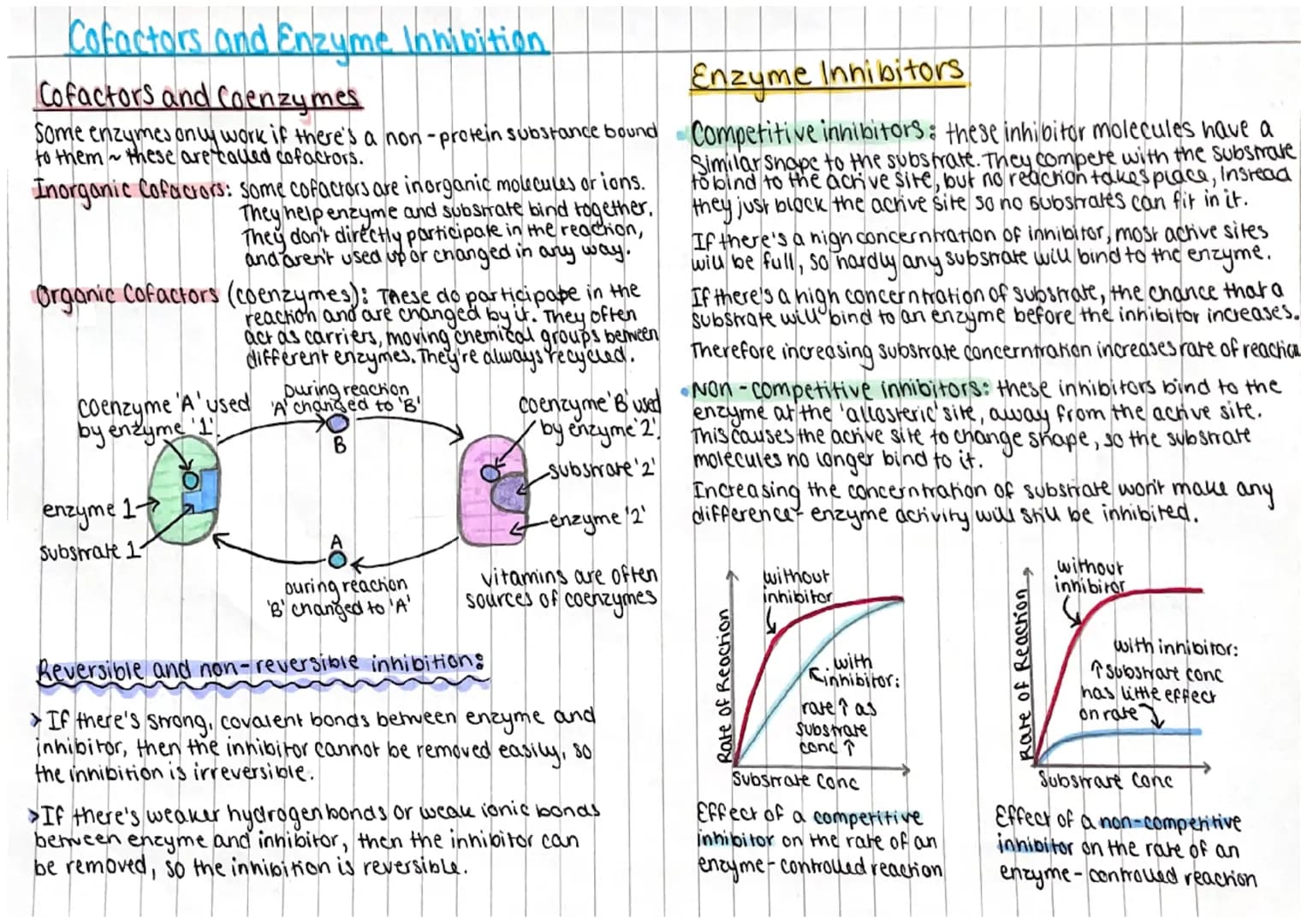 
<h2 id="enzymesasbiologicalcatalysts">Enzymes as Biological Catalysts</h2>
<p>Enzymes act as biological catalysts, speeding up the rate of 