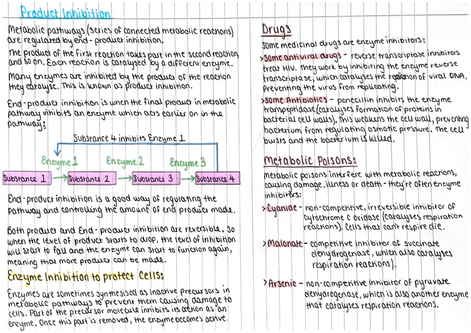 
<h2 id="enzymesasbiologicalcatalysts">Enzymes as Biological Catalysts</h2>
<p>Enzymes act as biological catalysts, speeding up the rate of 